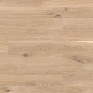 Neue Kollektion JOKA Calgary 527 138 LD | Eiche creme geb.VILLA ÖL